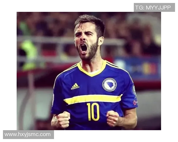 波黑足球明星盘点他们在国际赛场上的辉煌成就与影响力 波黑足球明星盘点他们在国际赛场上的辉煌成就与影响力